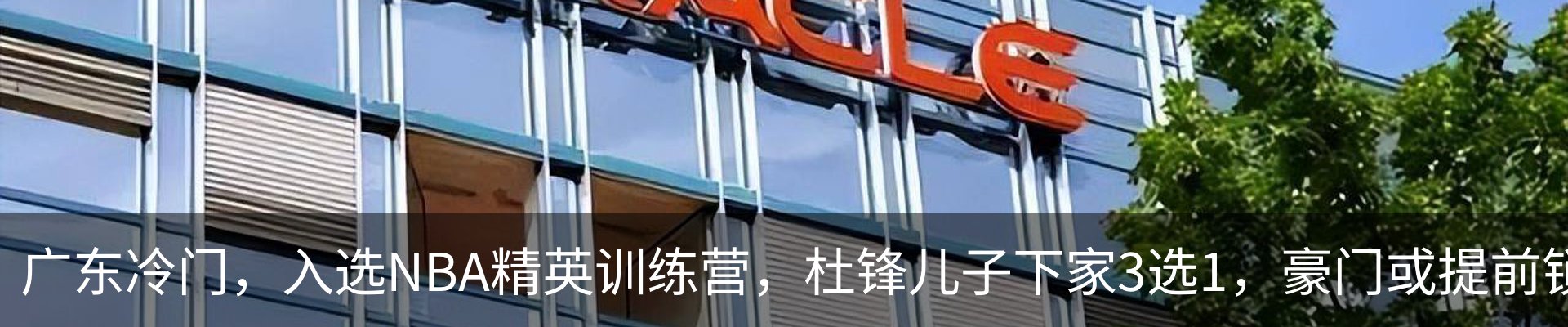 最新动态